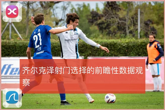齐尔克泽射门选择的前瞻性数据观察
