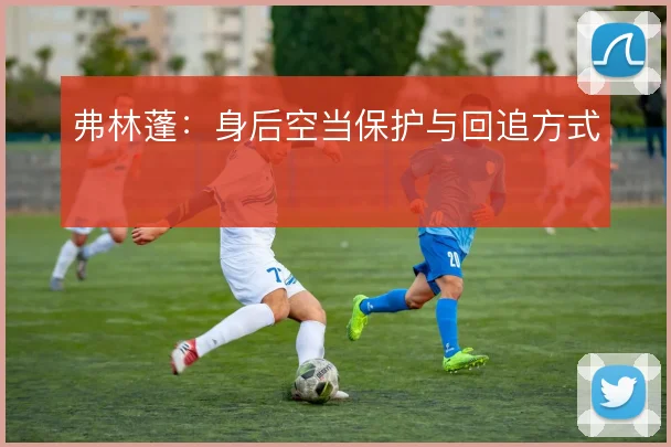弗林蓬：身后空当保护与回追方式