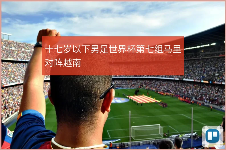 十七岁以下男足世界杯第七组马里对阵越南