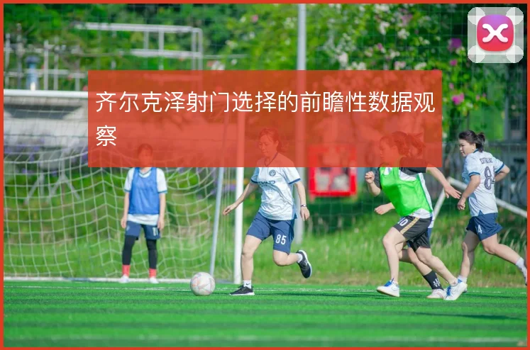 齐尔克泽射门选择的前瞻性数据观察